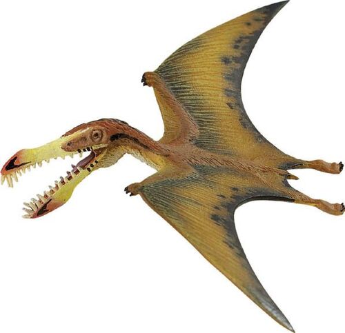Dinosaure - Pterosaure