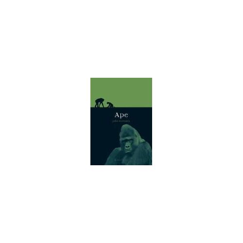 Ape