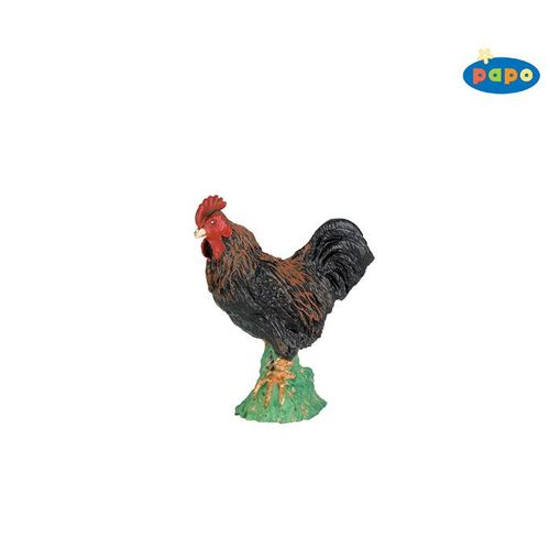 Coq