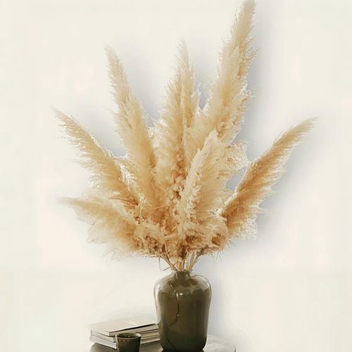 Paquet de 10 Grandes Herbes de Pampa XXL (100 cm/39 Pouces) Fleur sèche Grande pour décoration bohème,Mariage,décoration de Salon-LUFTSCHLOSS