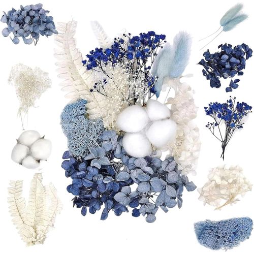 Ensembles de Fleurs Séchées Natu relles¿Bricolage Fle urs Séc hées Ensemble Feuilles Naturelles Pressées à Sec,Fleurs pressées,Se chees Natur Elles pour L'artisanat d'art de