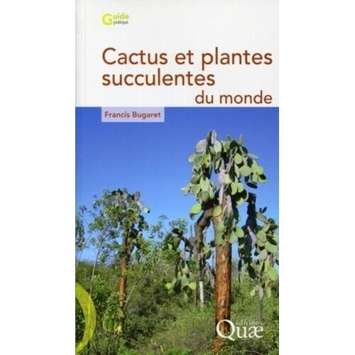 Cactus Et Plantes Succulentes Du Monde