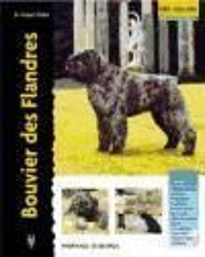 Bouvier Des Flandres