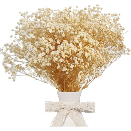 Fleurs De Gypsophile Séchées Naturelles Gypsophile Blanche Séchée Pour Décoration De Maison,Mariages,Et Projets Créatifs