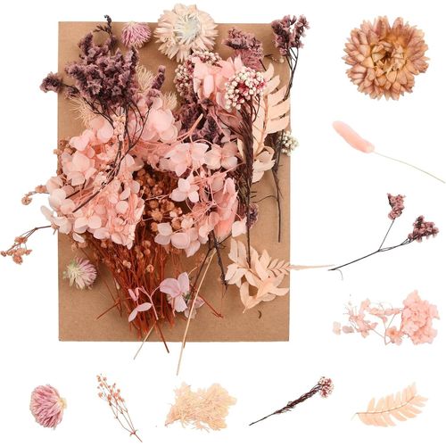 Fleurs Séchées Naturelles,Bouquet De Fleurs Séchées Vraies Pour La Décoration Bricolage,Pour Bricolage Résine Bougie Autocollants Scrapbooking (Rose)