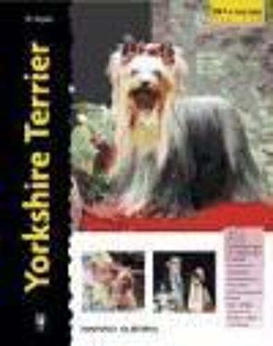 Yorkshire Terrier