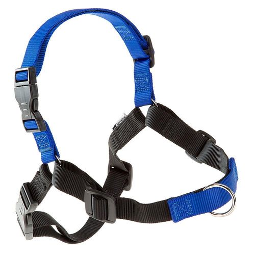 Coach P L Harness Blue