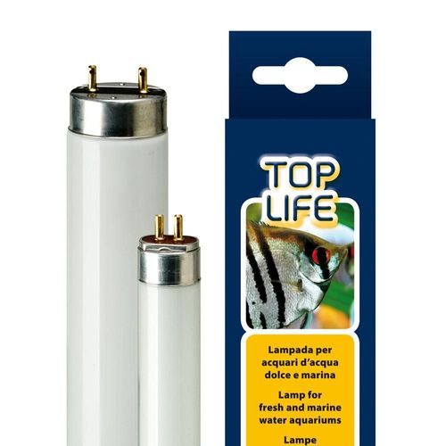 Toplife 8 W Lamp T5