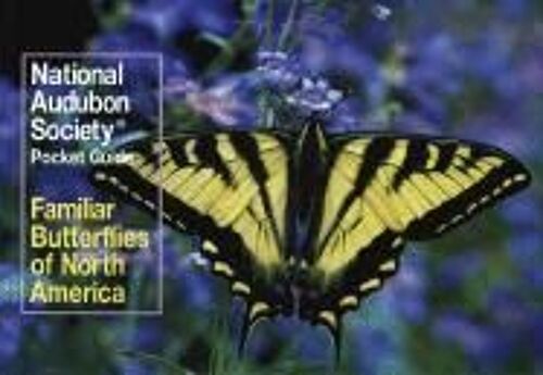 National Audubon Society Pocket Guide: Familiar Butterflies Of North America
