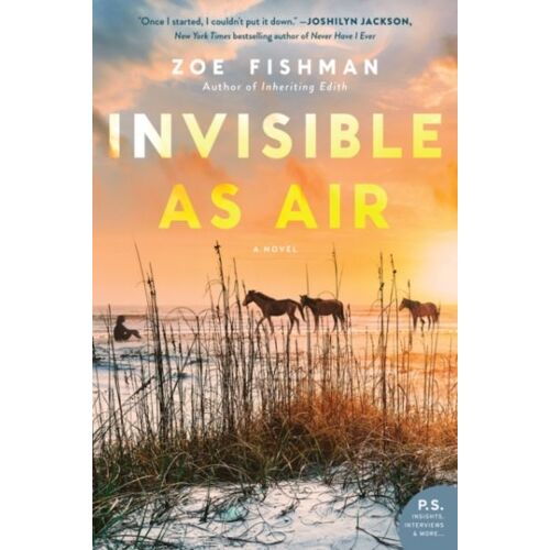 Invisible As Air