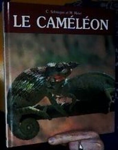 Le Caméléon