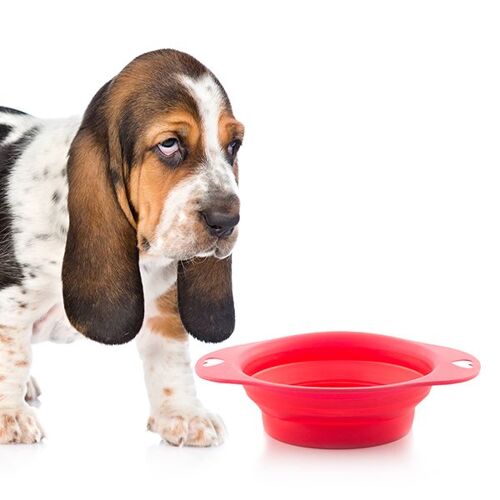Gamelle Pliable Pour Animaux Domestiques Heart