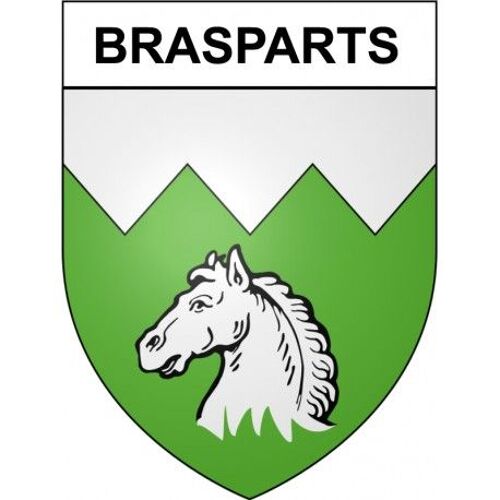 Brasparts 29 Ville Stickers Blason Autocollant Adhésif - Taille : 12 Cm