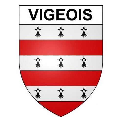 Vigeois 19 Ville Stickers Blason Autocollant Adhésif - Taille : 12 Cm