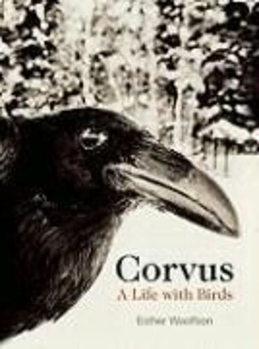 Corvus: A Life With Birds