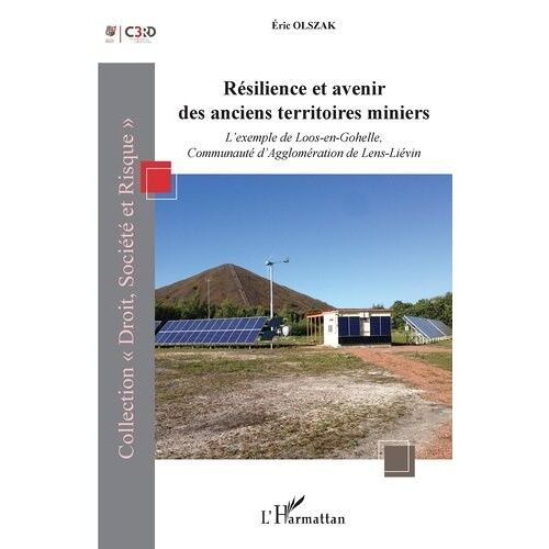 Résilience Et Avenir Des Anciens Territoires Miniers - L'exemple De Loos-En-Gohelle, Communauté D'agglomération De Lens-Liévin