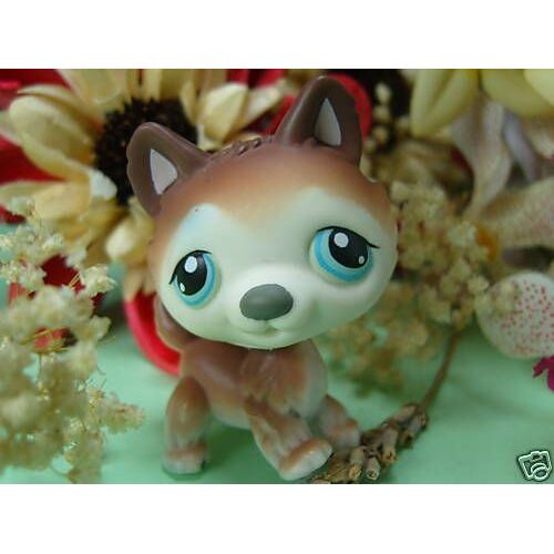 Littlest Pet Shop  # 70 - Petshop Chiot Chien Husky