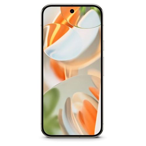 Google Pixel 9 Pro Porcelaine 256 Go