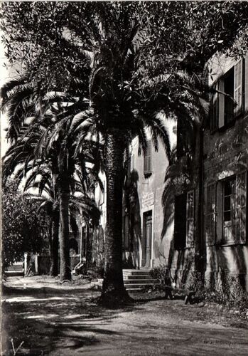 Carte Postale, France, Alpes Maritimes ( 06 ), Roquefort Les Pins, Foyer De Charité