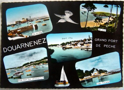 Douarnenez ( Finistère) - La Criée - Le Ris - Le Port Rhu ...