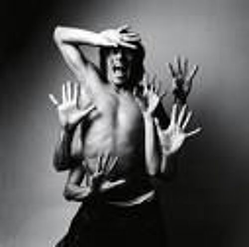 Contact Story Vol. 1