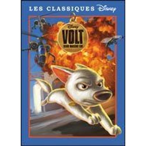 Volt, Star Malgré Lui