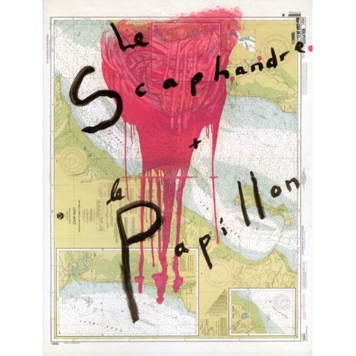 Le Scaphandre Et Le Papillon - Mathieu Amalric - Dossier De Presse  N° 1