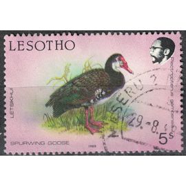Lesotho 1988 Oblitéré Used Bird Oiseau Plectropterus Gambensis Oie Armée De Gambie Su