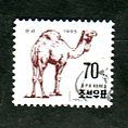 Timbre Oblitéré - " Dromedary " - Série " African Fauna " - Corée Du Nord - 1995