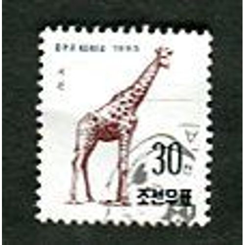Timbre Oblitéré - " Giraffe " - Série " Animals " - Corée Du Nord - 1995