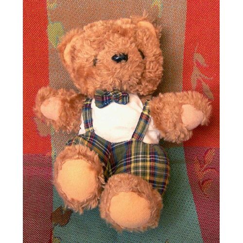 Petit Ours À Pantalon Écossais