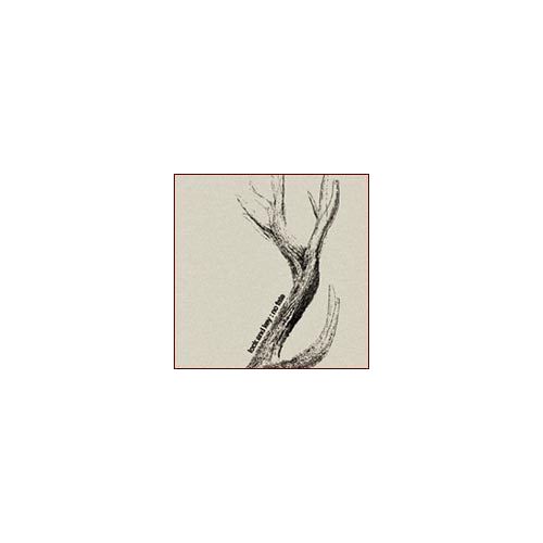 Cd 7 Titres - Lock And Fate " No Fate " Sur Deep Elm 2004