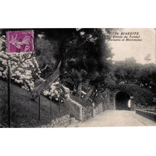 Carte Postale Ancienne, France, Pyrénées Atlantiques ( 64 ), Biarritz, Entrée Du Tunnel, Tamaris Et Hortensias - Oblitération Du 15/07/1933