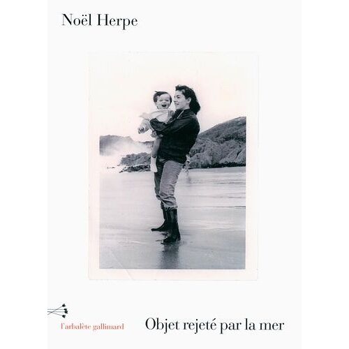 Objet Rejeté Par La Mer - Journal 2014-2015
