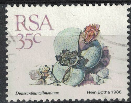 Afrique Du Sud 1988 Oblitéré Used Plante Dinteranthus Wilmotianus Su