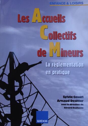 Les Accueils Collectifs De Mineurs -  La Réglementation En Pratique