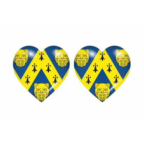 2x Autocollant Sticker Drapeau Coeur Royaume Uni Shropshire