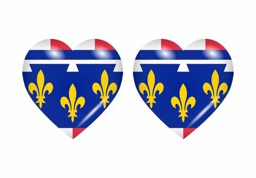2x Autocollant Sticker Drapeau Coeur Centre Departement
