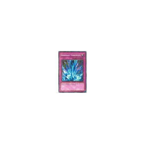 Hommage Torrentiel - Yu-Gi-Oh! - Rp02-Fr034 - C