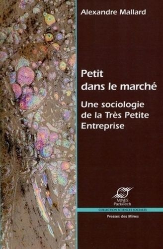 Petit Dans Le Marché - Une Sociologie De La Très Petite Entreprise