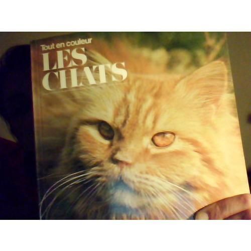 Tout En Couleur - Les Chats