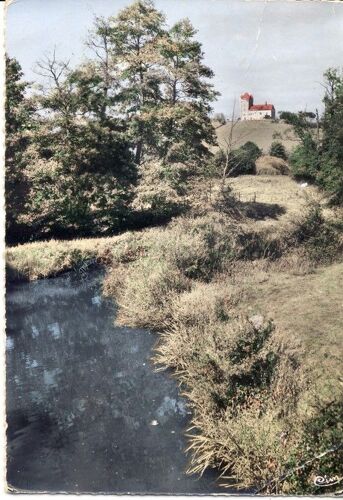 Charolles : Château De Montessus Vu De L'arconce (Ref 108)