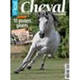 Cheval Magazine N° 452 : Cheval Magazine Juillet 2009 : Chevaux Agressifs : Un Faux Problème