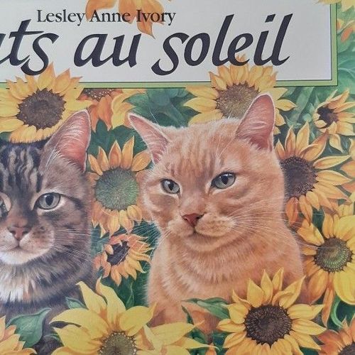 Livre Chats Au Soleil De Lesley Anne Ivory
