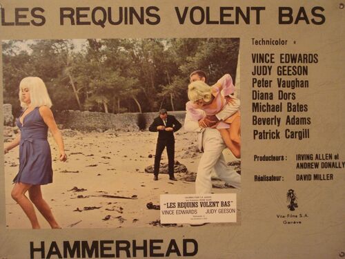 Les Requins Volent Bas - Hammerhead - 1968 De David Miller  Avec Vince Edwards - Photo Prestige Cartonnée Couleur - Format 31x42 Cm