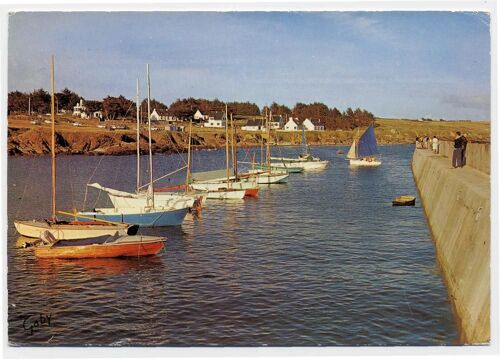 Saint Gildas De Rhuys ( Morbihan ) - Bateaux De Plaisance Au Port 1966