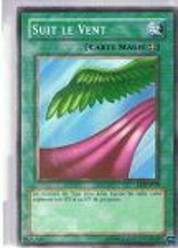 Suit Le Vent - Yu-Gi-Oh! - Ldd-F078 - C