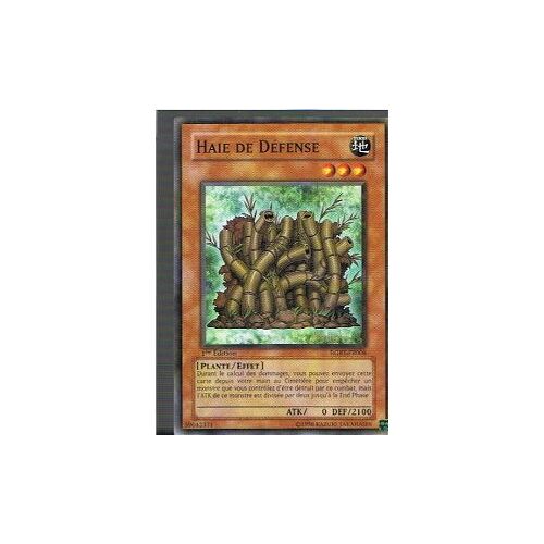 Haie De Défense - Yu-Gi-Oh! - Rgbt-Fr008 - C
