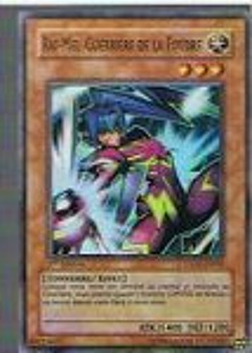 Rai-Mei, Guerrière De La Foudre - Yu-Gi-Oh! - Csoc-Fr085 - Sr