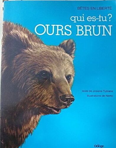 Qui Es-Tu ? Ours Brun